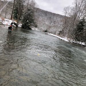 Meet your Posher, Nathaniel